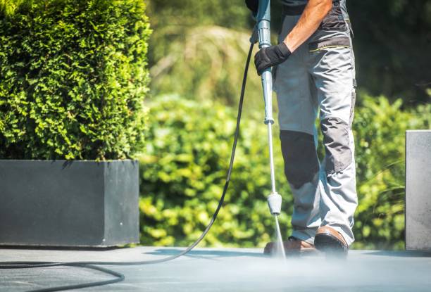 Best Animal Enclosure Cleaning  in Davie, FL