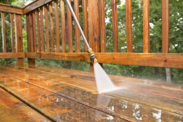 Best Dumpster Area Cleaning  in Davie, FL